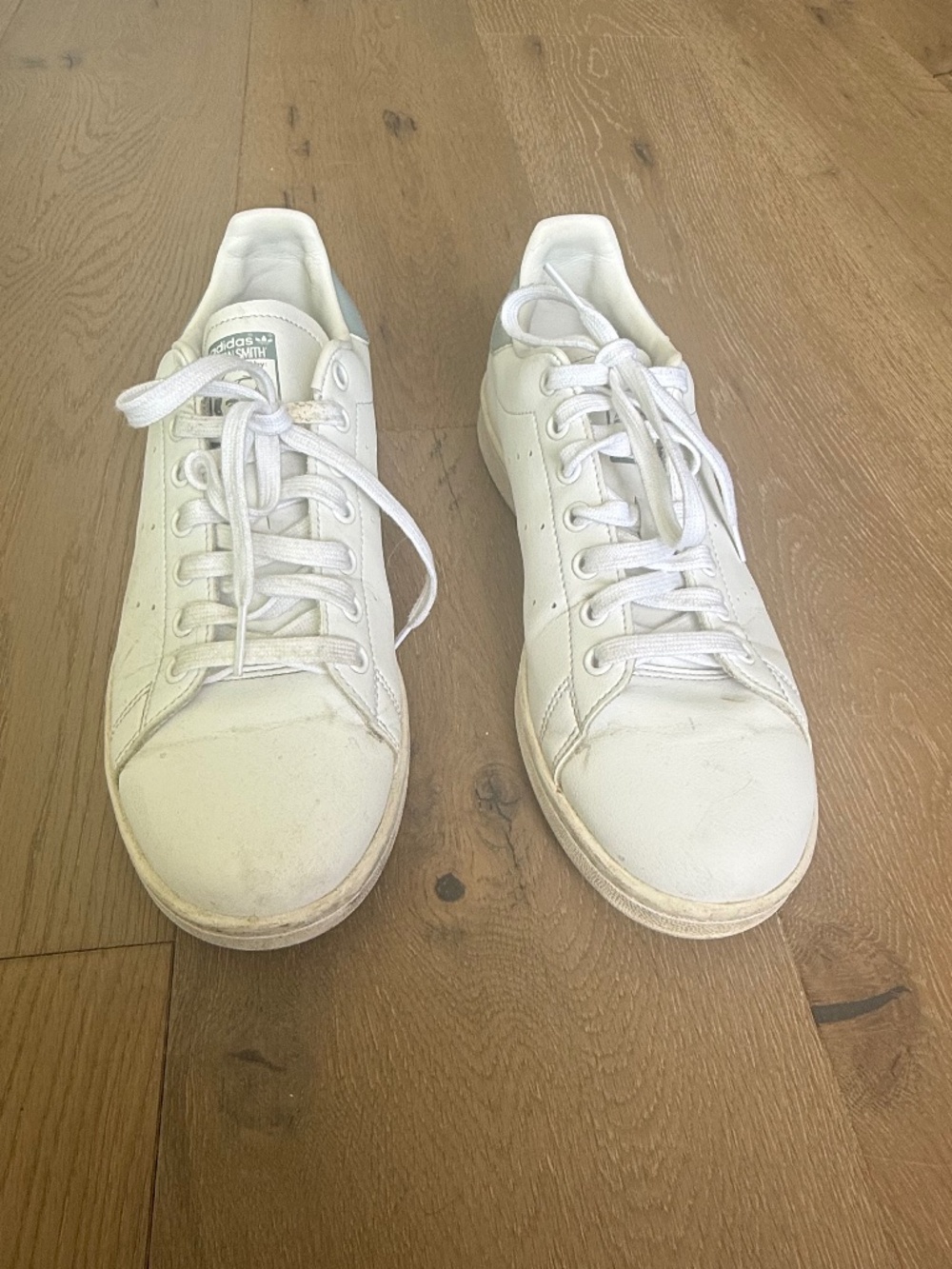 Addidas Shoes w/ foot pad (Women's 9)